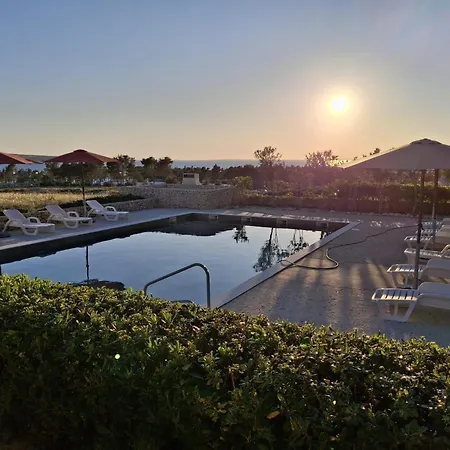 Blauer Horizont * 포블랴나