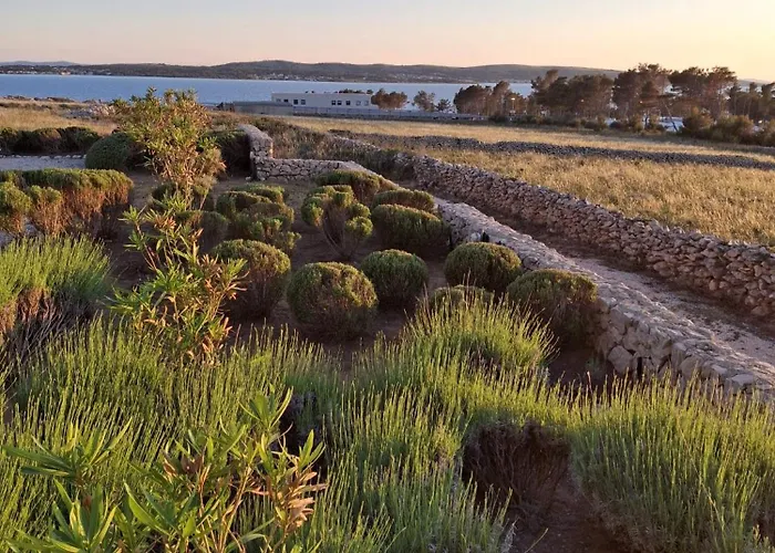 Blauer Horizont Διαμέρισμα *